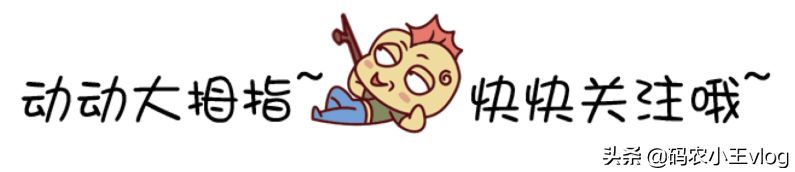 教大家如何自动适配电脑不同尺寸的屏幕,这几种方法就足够