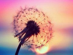 CSS3中的常用选择器,看完之后你的思路会清晰很多