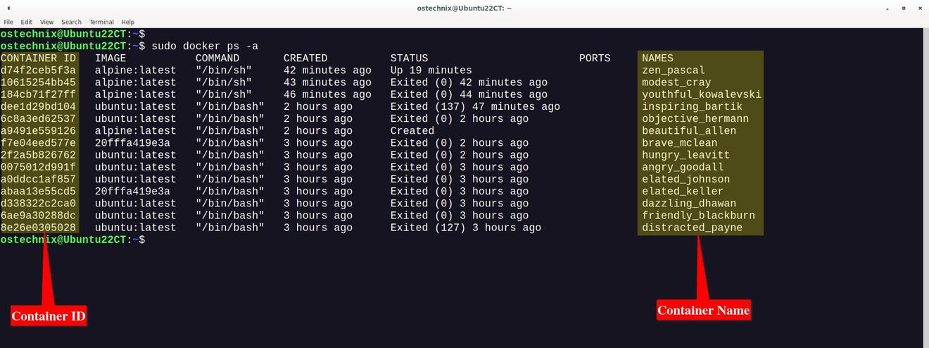 Find Container ID And Name
