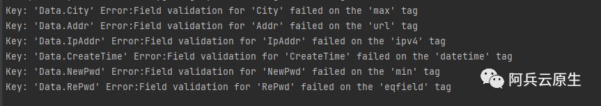 golang validator 包的使用指北 - 乐耶园